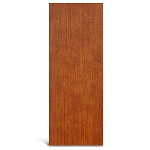 Teak Melamine Flush Panel Door